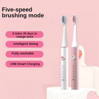 5 Modi Ultra Sonic vibrations Adult electric toothbrush Usb Chargeable male and female Soft hair Waterproof Sonic toothbrush