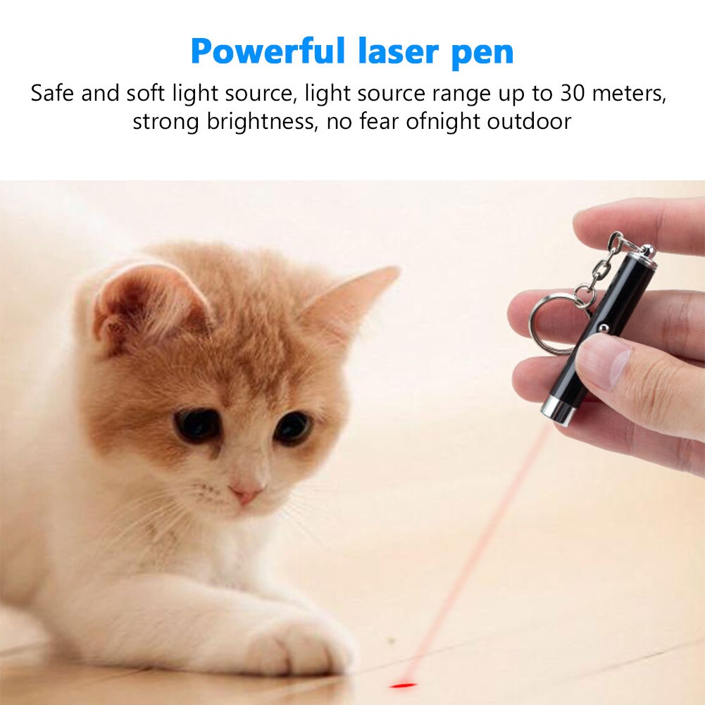 2-In-1 Cat Pet Toy Red Laser Light LED Pointer Pen Torch Interactive Training Pet Cat Dog Fun Toy Aluminum Alloy With Keyring