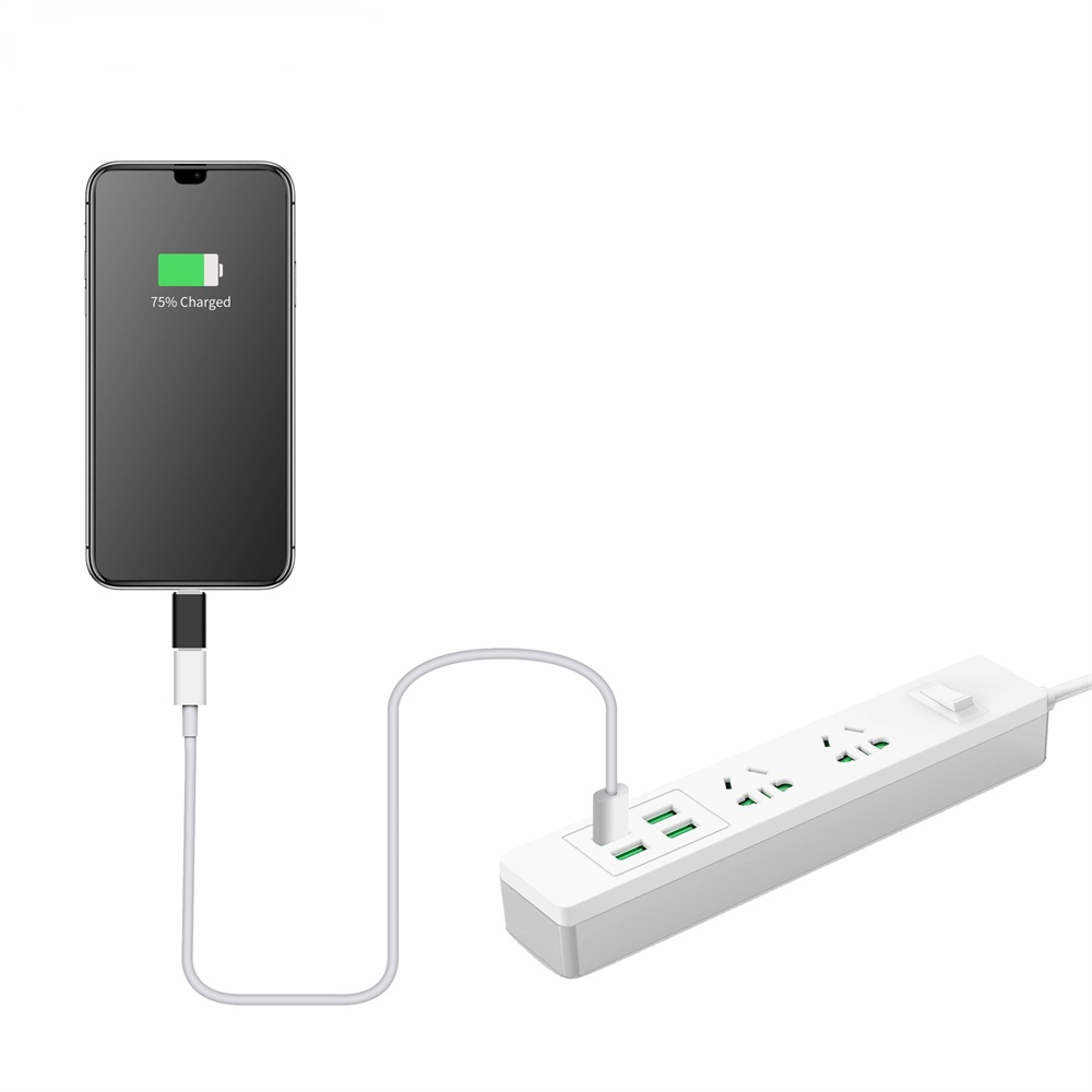 CVM-USBC-LN OTG USB-C to Lightning Adapter