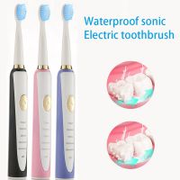 Electric Toothbrush Powerful Sonic Cleaning Rechargeable Waterproof Toothbrush For Man Women Home Use Devices Health Care