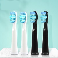 Electric Toothbrush Heads Sonic Replacement Brush Heads Fits for SG515/SG551/SG958/SG910/E2/E4/E9 with Faded Bristles