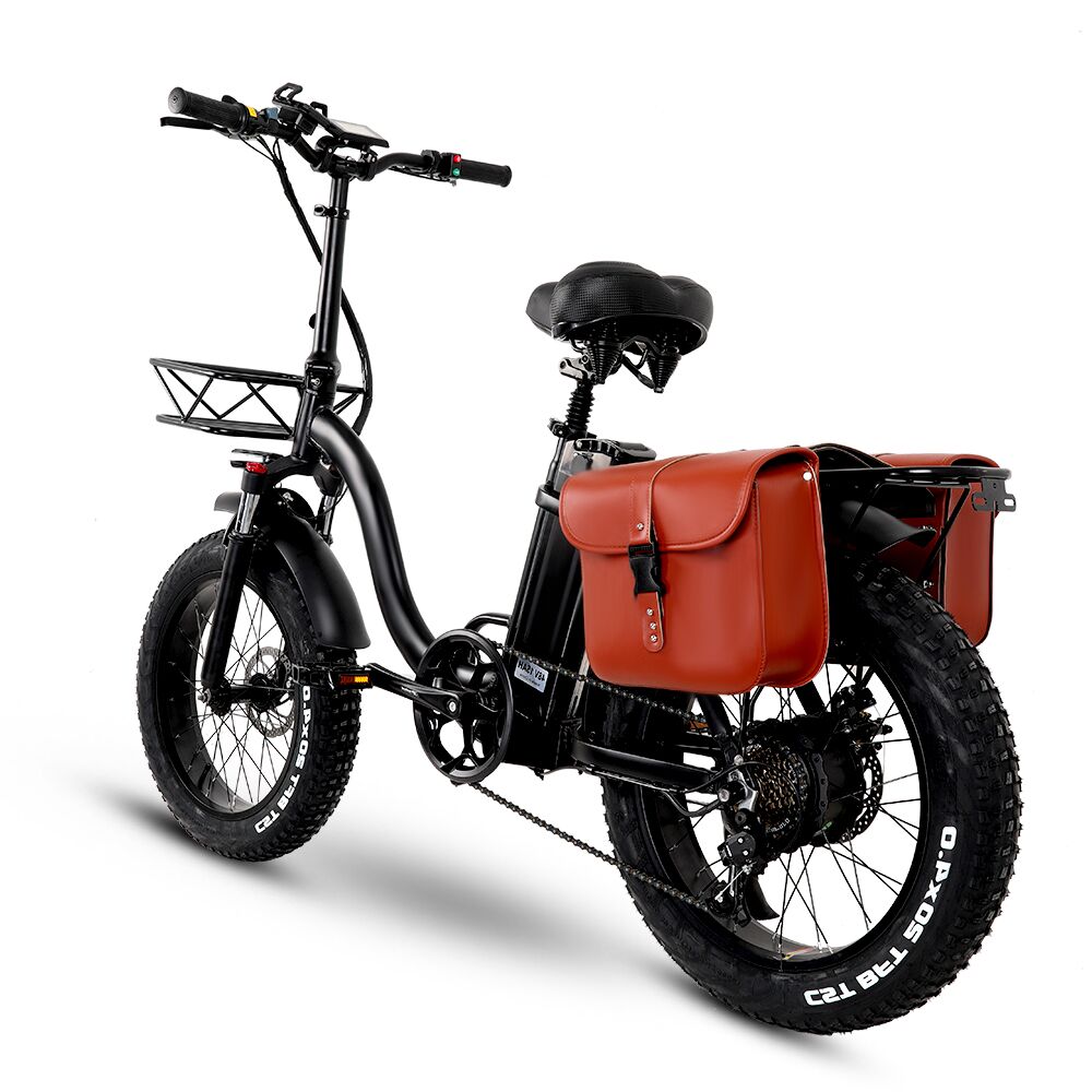 Y20 Folding E-bike Snow Bike, 750W Motor, 48V 15A/20A/24A Battery, 20 Inch Mountain Bike Fat Bike, Pedal Assist Bike with Basket