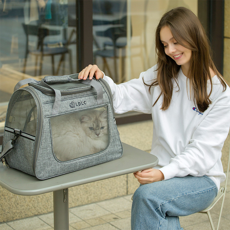 Pet Bag Portable Dog Cat Carrier Bag Pet Puppy Travel Bags Breathable Mesh Small Dog Cat Chihuahua Carrier Outgoing Pets Handbag