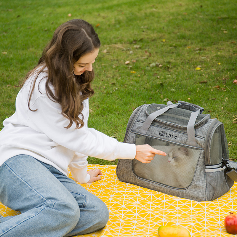 Portable Dog Cat Carrier Bag Breathable Space Capsule Astronaut Travel Bag Transparent Outdoor Small Cat Carrier Travel Pet Bag