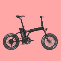 30AH 19inch Travel Electric 48v500w dual drive motor folding electric bicycles snow beach fat tires mountain-assisted fat ebike 19in