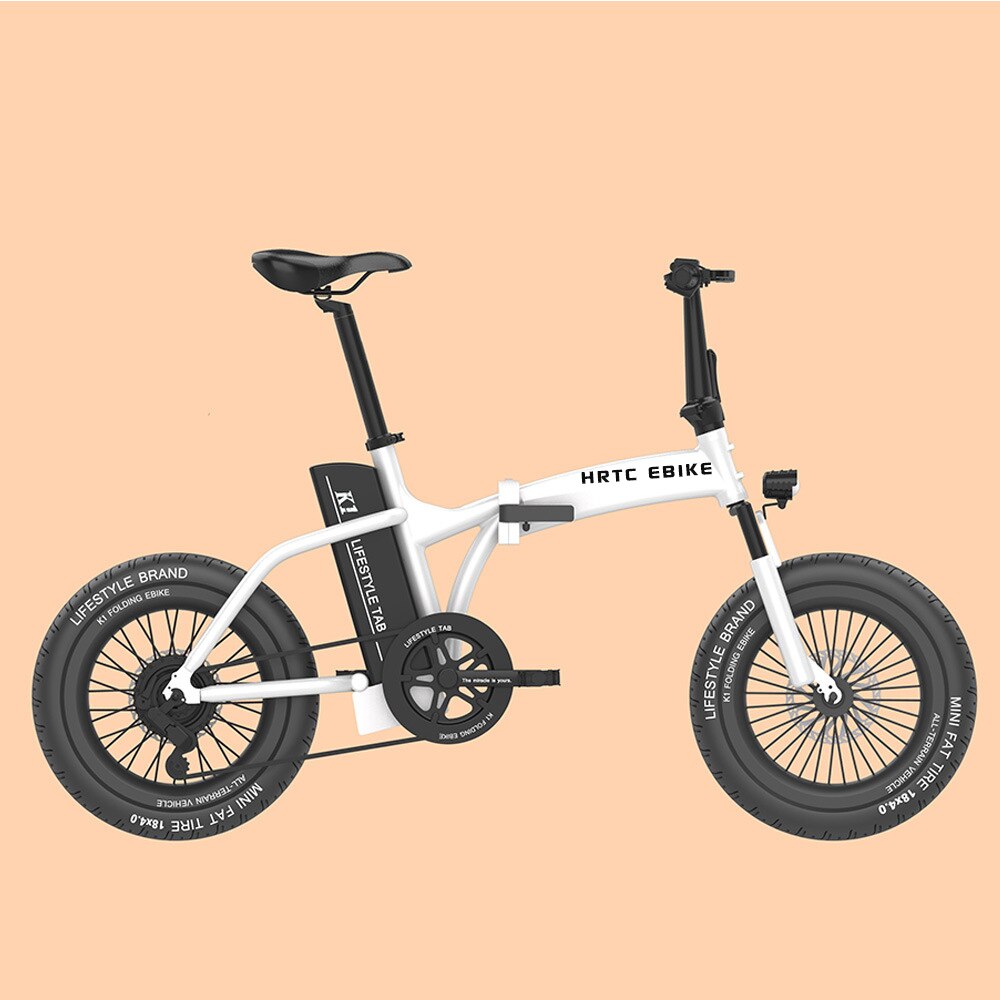 30AH 19inch Travel Electric 48v500w dual drive motor folding electric bicycles snow beach fat tires mountain-assisted fat ebike 19in