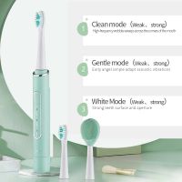 Ultrasonic Electric Toothbrush Wireless Rechargeable Sterilization Sonic Toothbrush Cleansing 2-In-1 IPX7 Waterproof Toothbrush