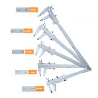 Mini Vernier Caliper 70mm 100mm 150mm 200mm 300mm steel Hardened Metric Machinist vernier caliper thickness gauge mikrometre