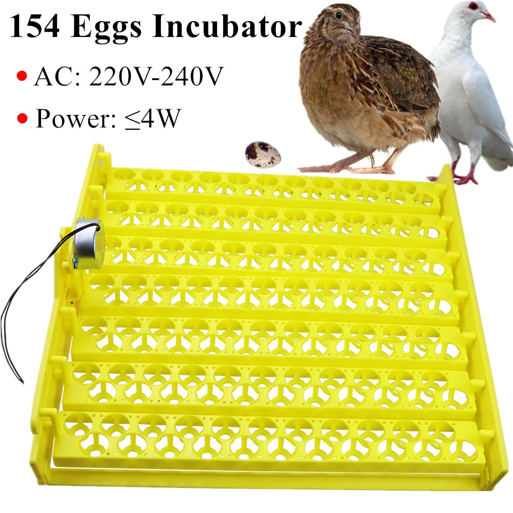 154 Eggs Incubator 