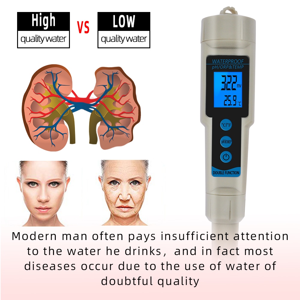 ORP Meter