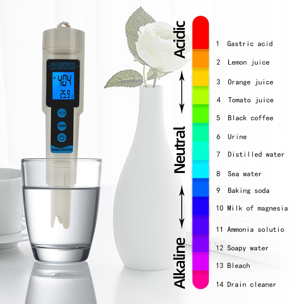 ORP Meter