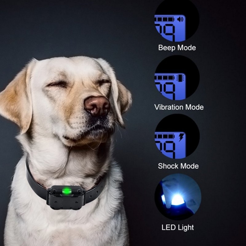 800m Electric Dog Training Collar Waterproof Pet Remote 