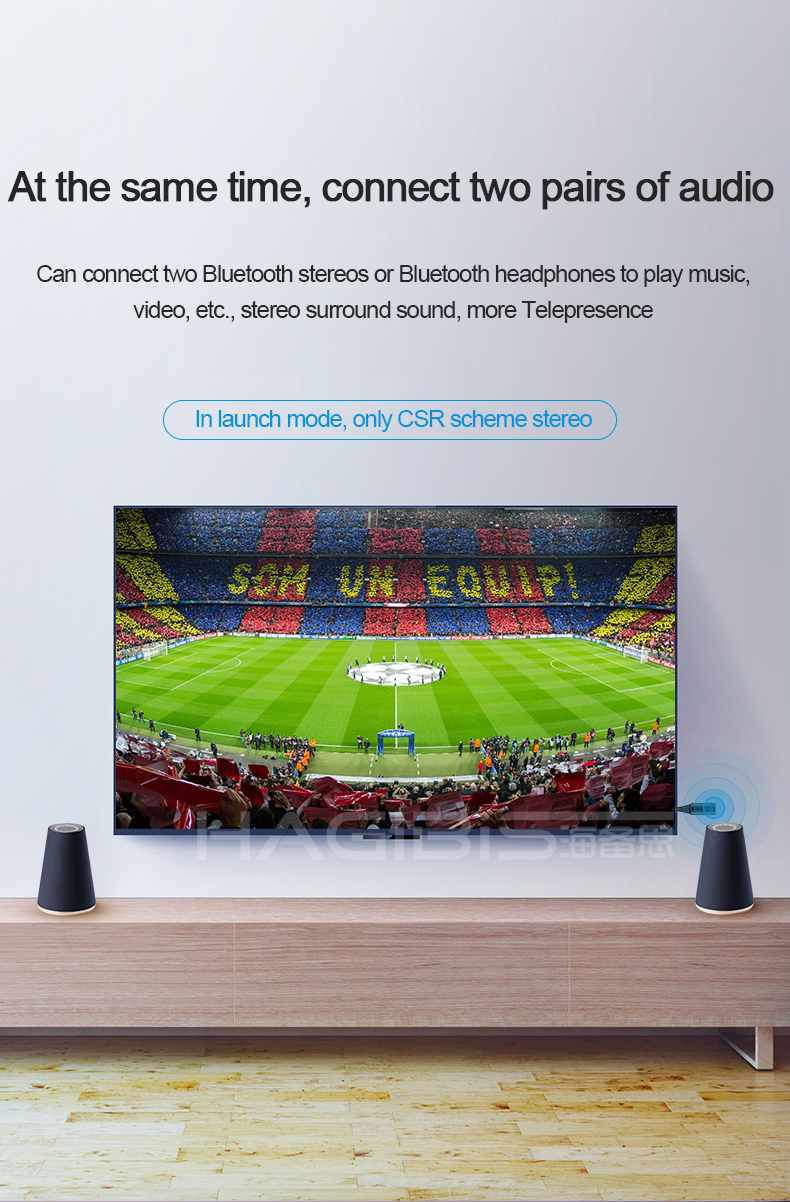 Bluetooth receiver 11