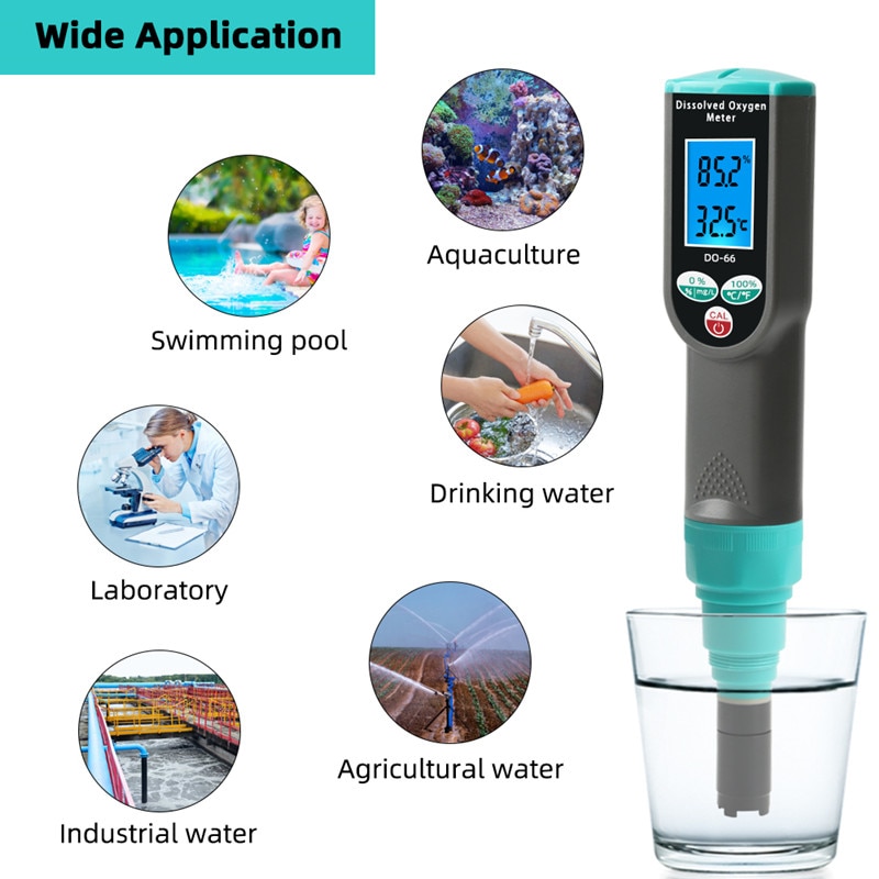 DO-66 Dissolved Oxygen Analyzer 