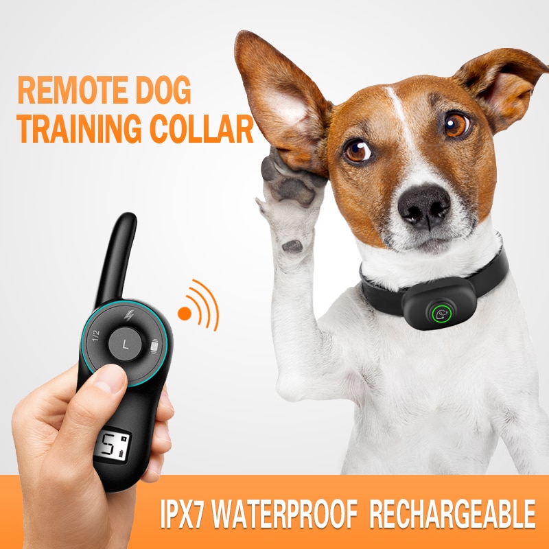 Dog Training Collar Waterproof Dog Electric Collar USB R