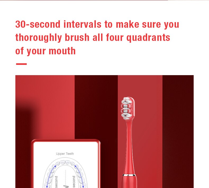 Electric Toothbrush Sonic Adult Battery Teeth brush hold