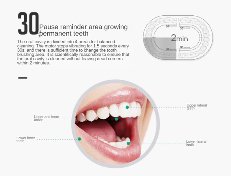 2021 Electric Toothbrush Sonic Brush Head Adult Timer 