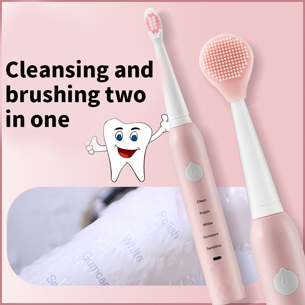 PH-201 Sonic Vibration Electric Toothbrushes 