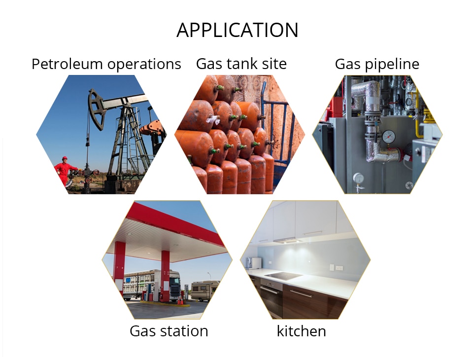 Gas Analyzer Combustible Gas Detector 