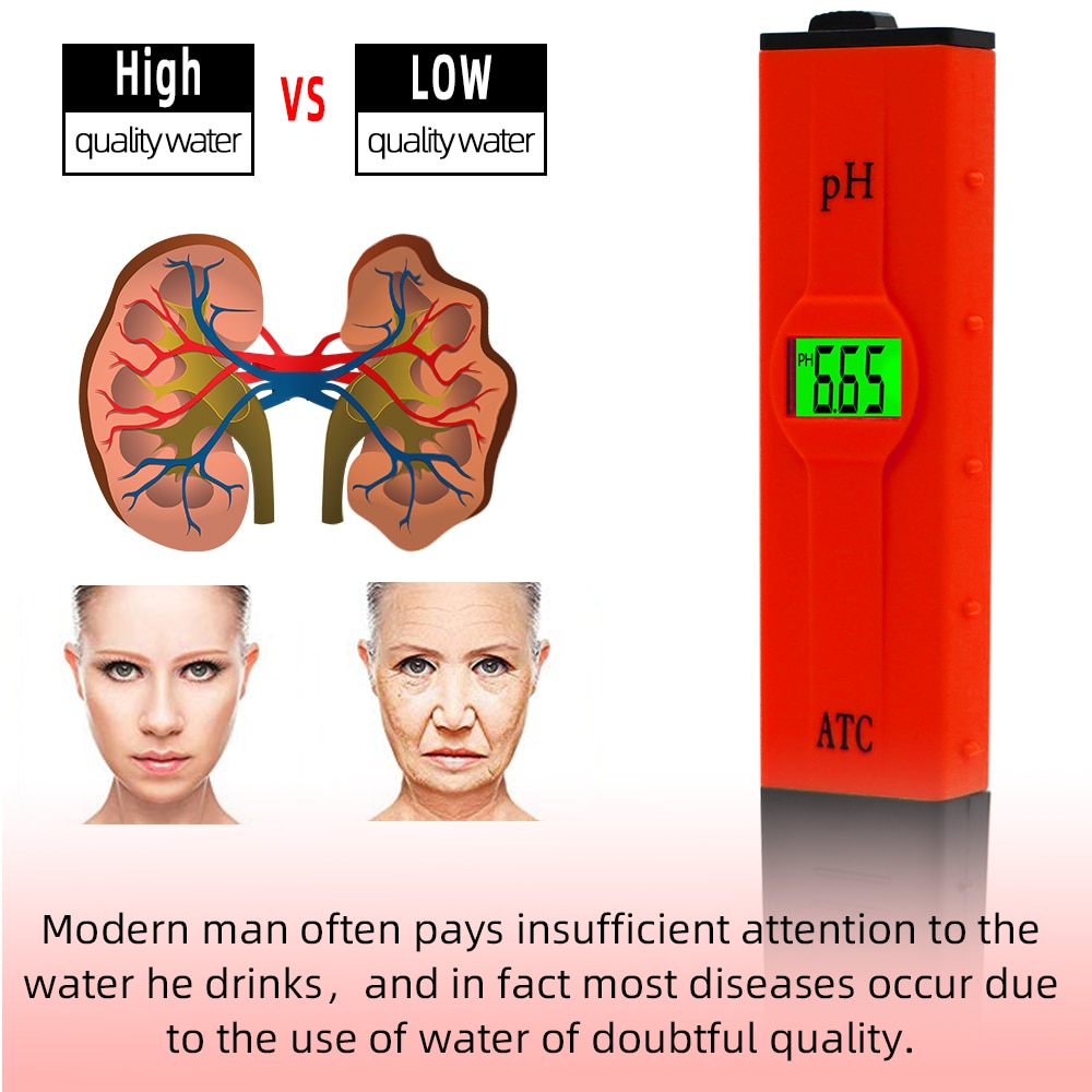 Ph meter