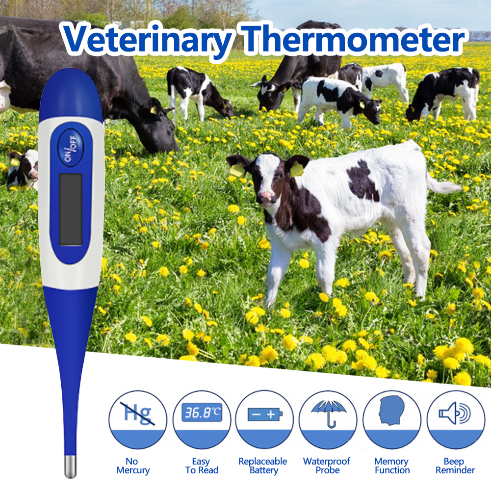Portable Veterinary Thermometer