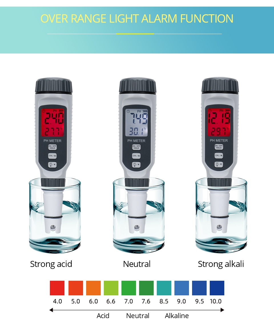 Professional pH Meter