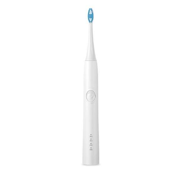 Adult  sonic electric toothbrush USB fast charging acous