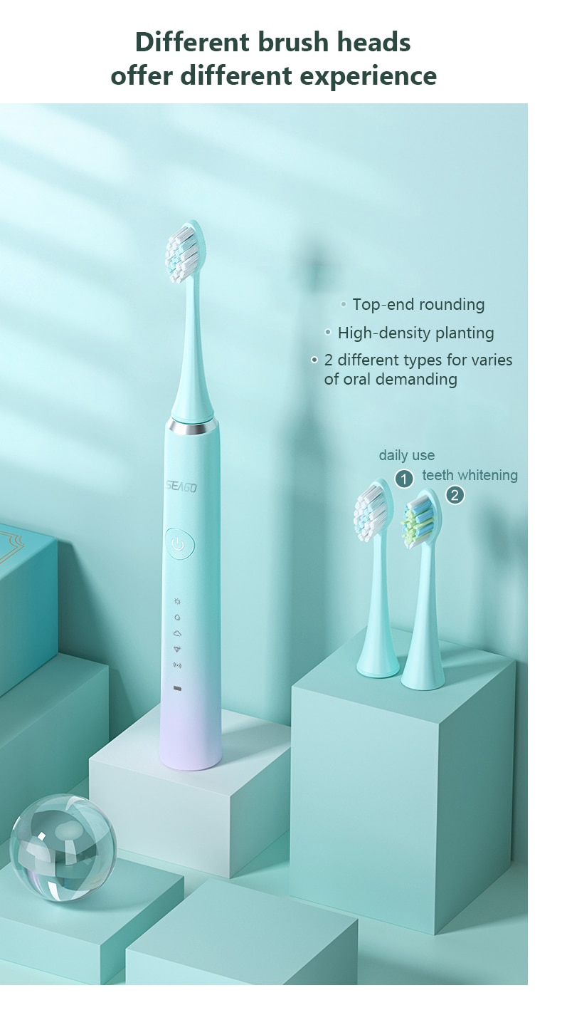 Sonic Electric Toothbrush Rechargeable Electronic Tooth 