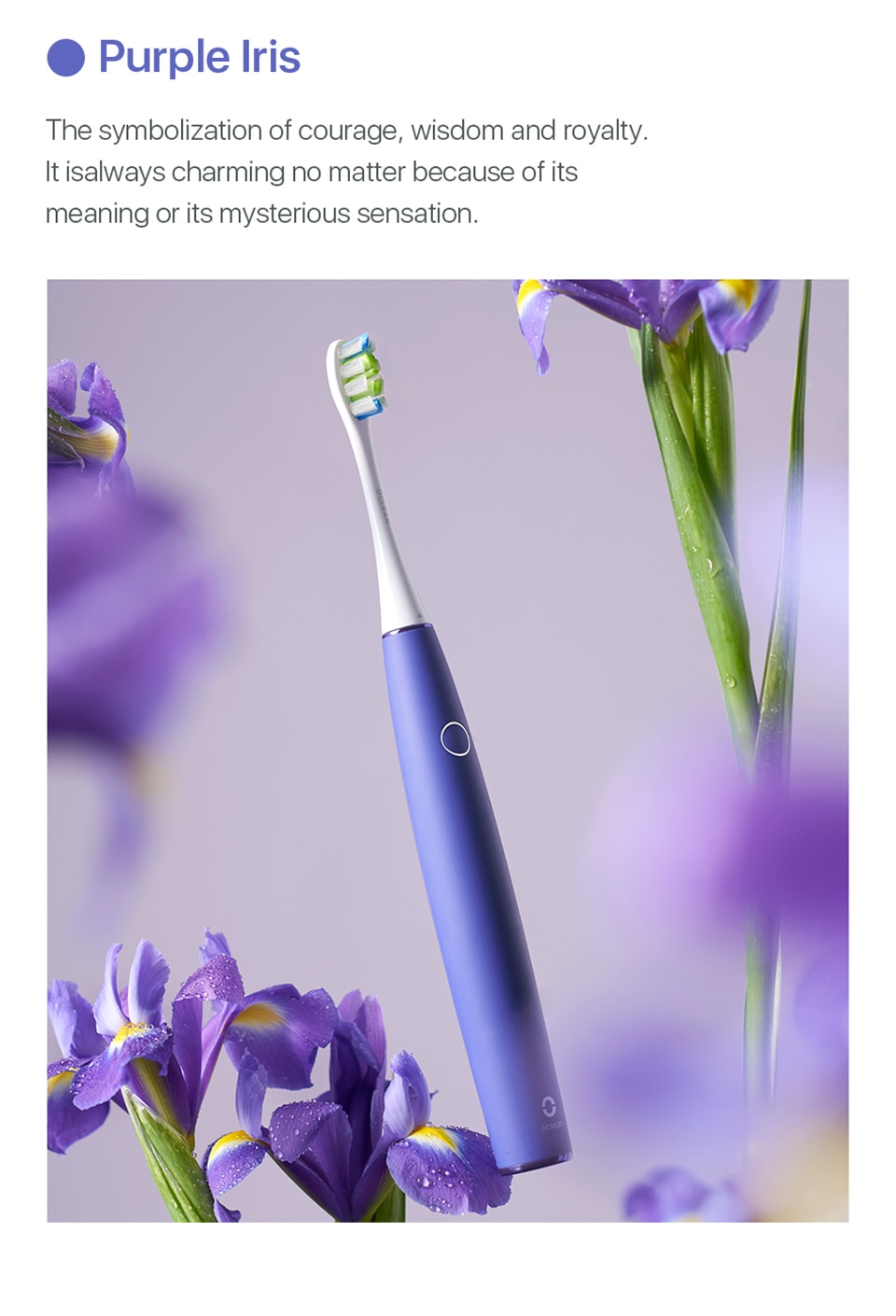 Air 2 Sonic Electric Toothbrush Smart Tooth Brush Fast C