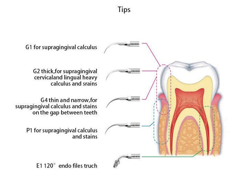 Dental Instrument 