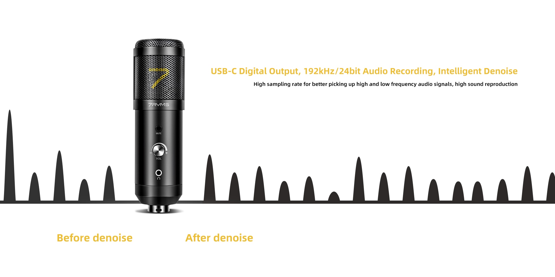 SR-AU01-K1 Cardioid Condenser 