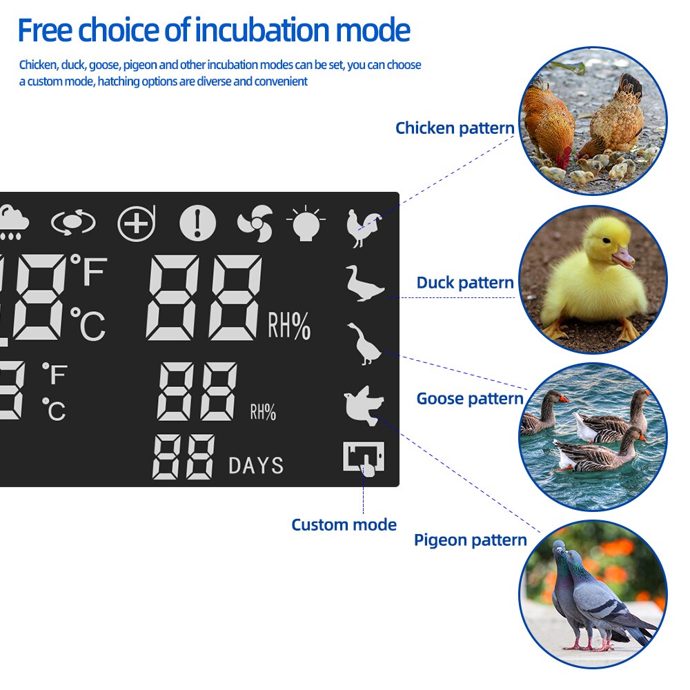 XM-18SW Intelligent incubator 