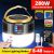 280W Solar Light Gold